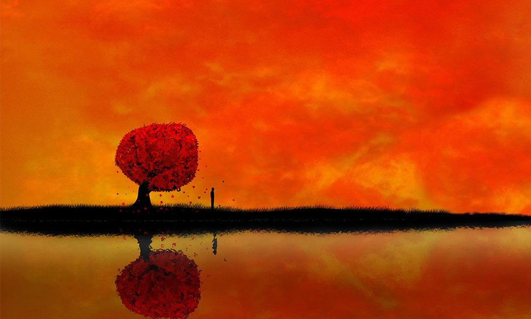 万宁笙影微信朋友圈转发案例